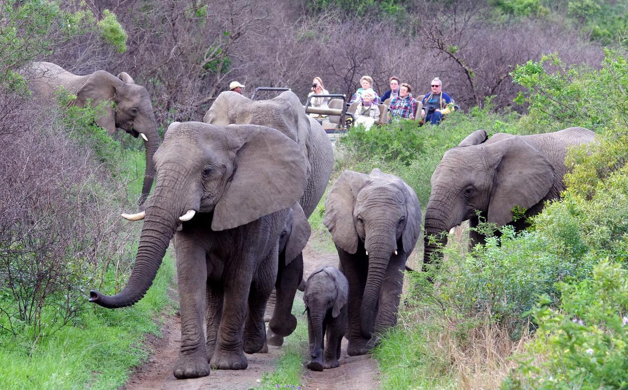 Thula Thula Exclusive Private Game Reserve & Lodge Ntambanana Екстериор снимка