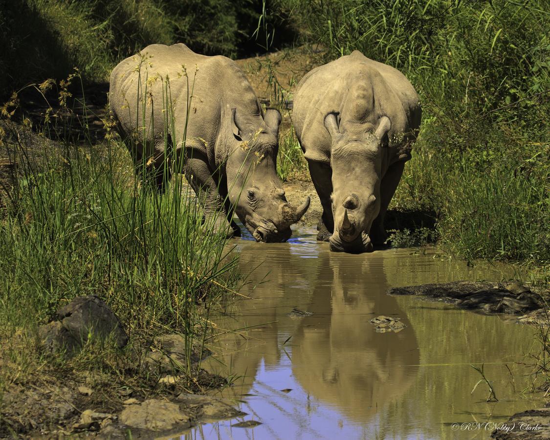 Thula Thula Exclusive Private Game Reserve & Lodge Ntambanana Екстериор снимка