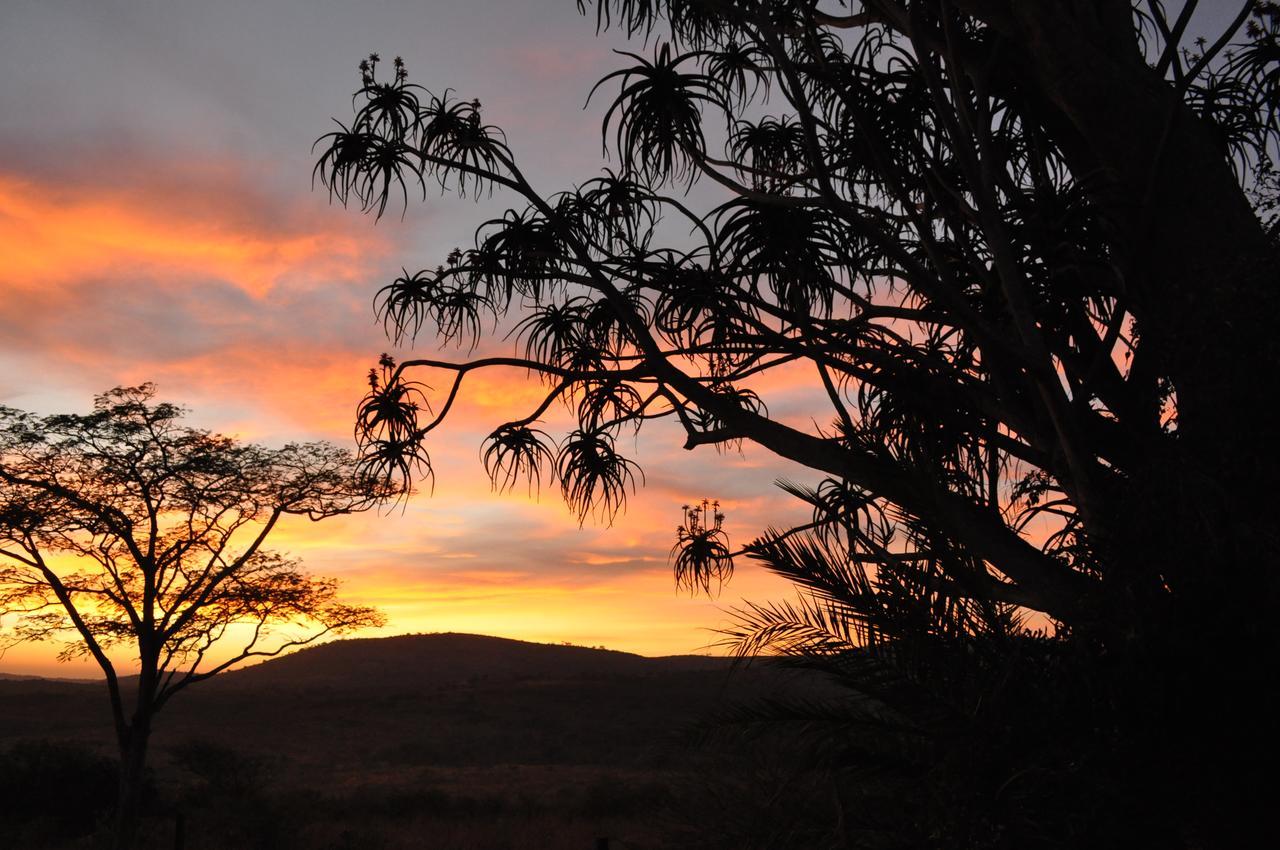Thula Thula Exclusive Private Game Reserve & Lodge Ntambanana Екстериор снимка